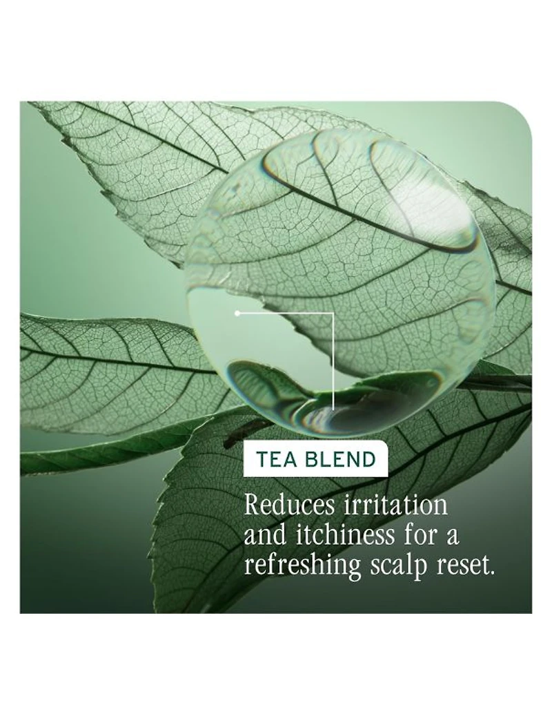 Biolage Scalp Sync Clarifying Shampoo - 1L