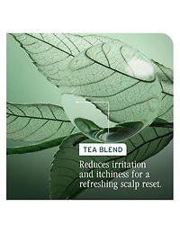 Biolage Scalp Sync Clarifying Shampoo - 1L