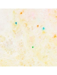 Gâteau d'anniversaire à la vanille et au milkshake Nectarlife