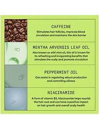 Shampoing Nioxin System 2 pour cuir chevelu et cheveux - 300 ml