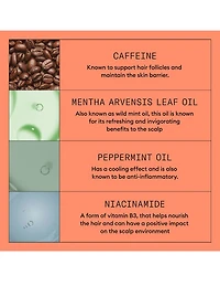 Nioxin System 4 Scalp Treatment - 100ml