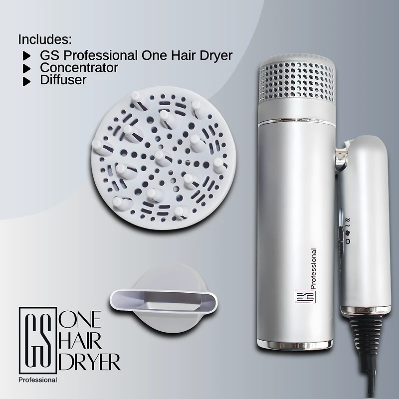 GS Professional One IQ Dryer
