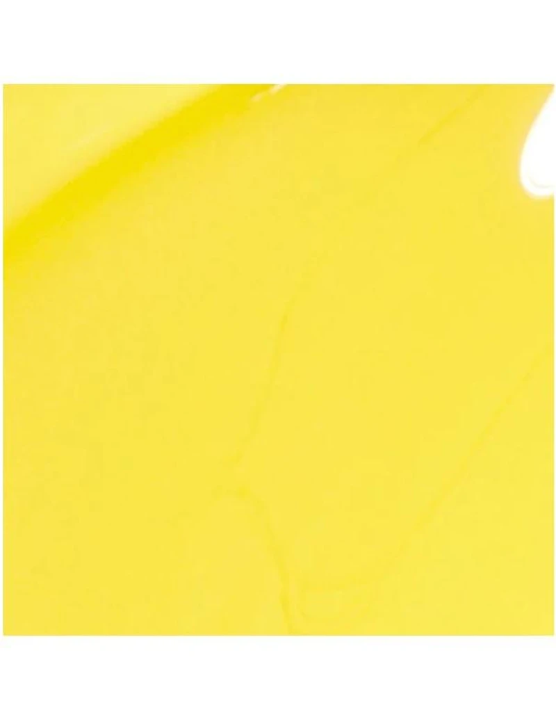 OPI Infinite Shine Les oiseaux exotiques ne tweetent pas