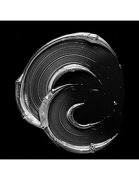 Sebastian Professional Dark Oil Silky Shine Shampoo - 1L