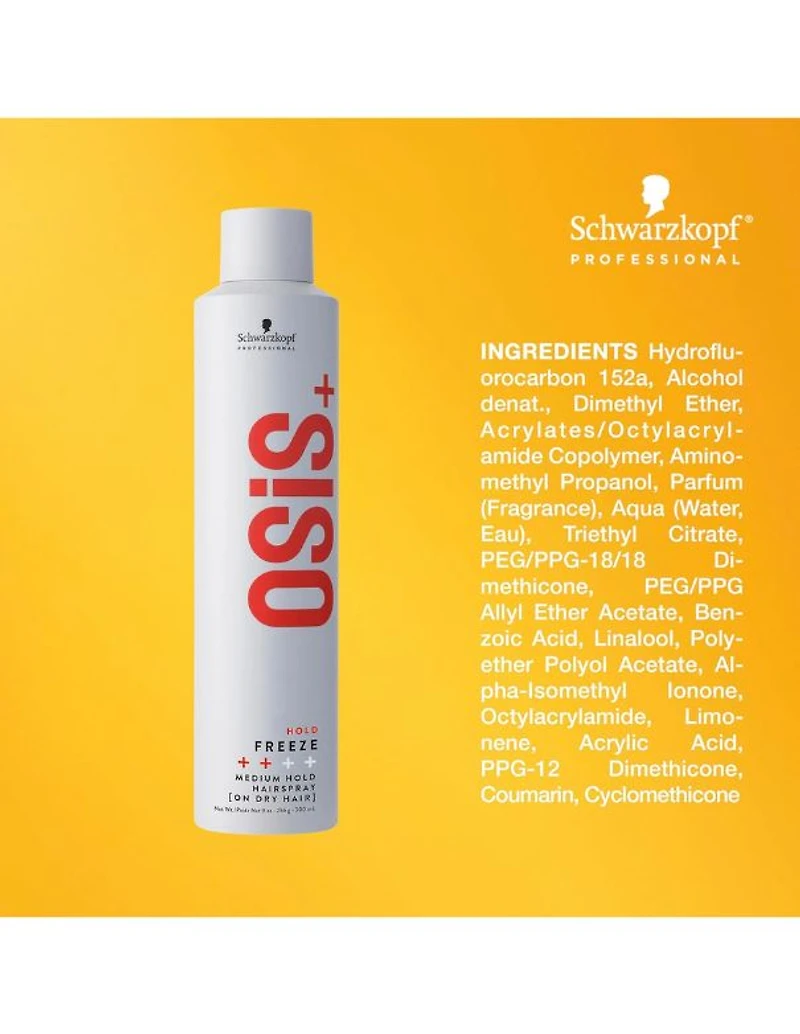 Laque Fixation Moyenne OSiS Freeze - 300 ml