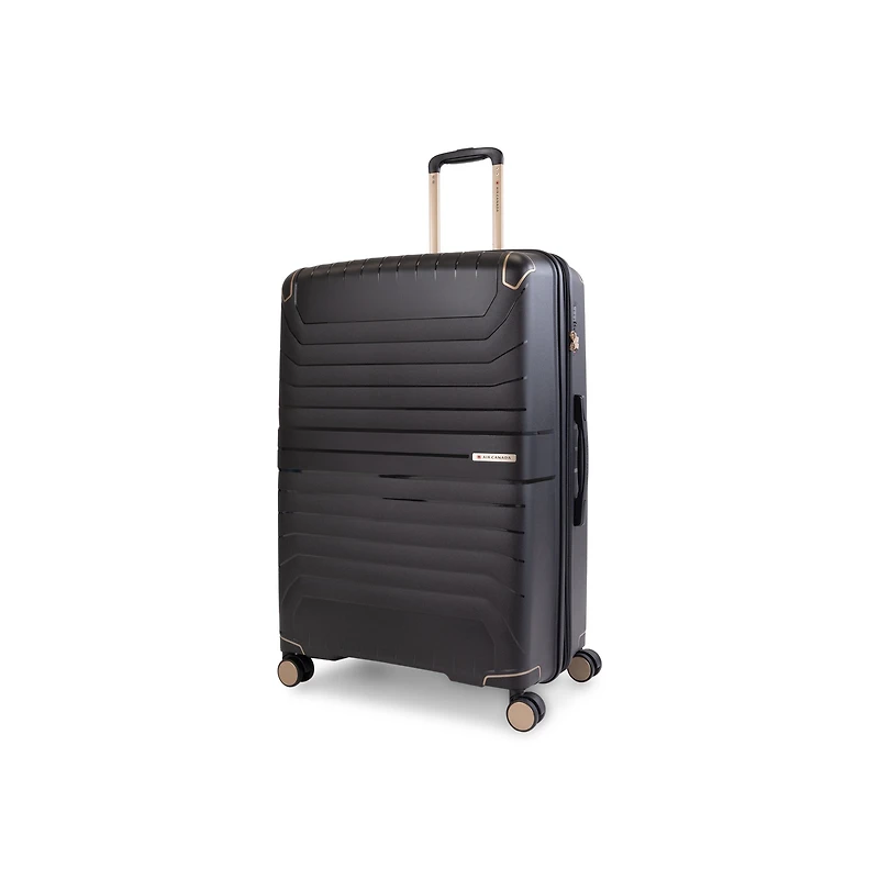 Air Canada Logan Check-in Large