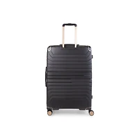 Air Canada Logan Check-in Large