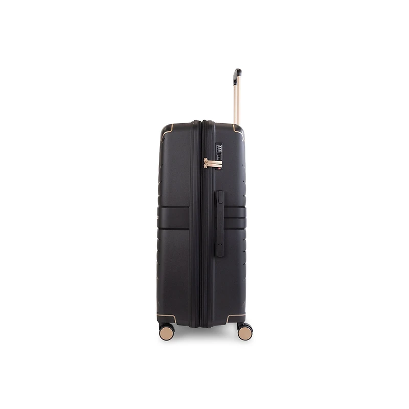 Air Canada Logan Check-in Large