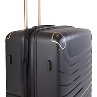 Air Canada Logan Check-in Large