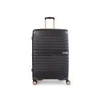 Air Canada Logan Check-in Large