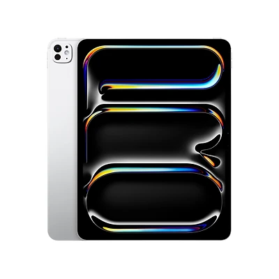 Apple 13-inch iPad Pro M4 (Silver, 256GB, Standard glass, Wi-Fi)