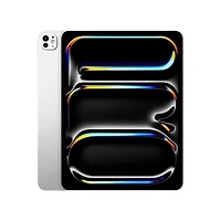 Apple 13-inch iPad Pro M4 (Silver, 256GB, Standard glass, Wi-Fi)