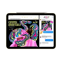 iPad Wi-Fi + Cellular 256GB