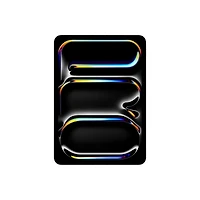 inch iPad Pro Wi-Fi + Cellular 256GB Standard Glass