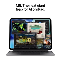 13-inch iPad Pro Wi-Fi + Cellular 512GB Standard Glass - Silver (M5)