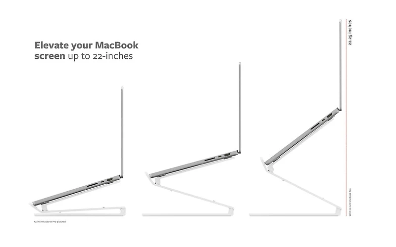 Twelve South Curve Flex