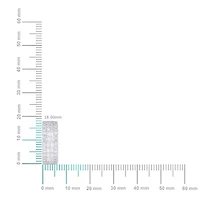 10K White Gold Round Baguette Diamond 3 Row Designer Hoop Earring 1 Cttw