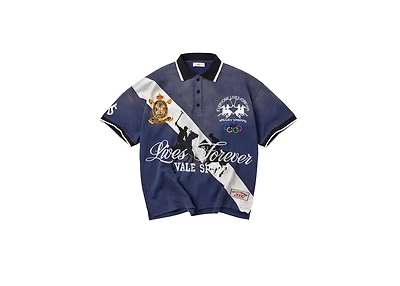 Vale Wales Polo