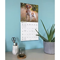 Brittanys 2027 Wall Calendar
