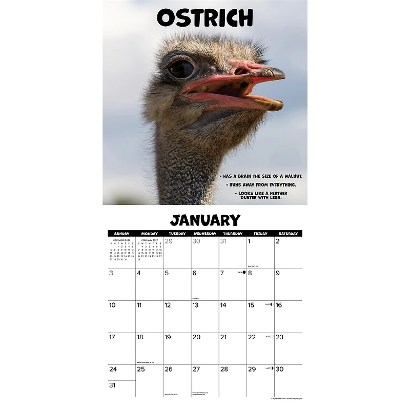 Dumbass Animals 2027 Wall Calendar