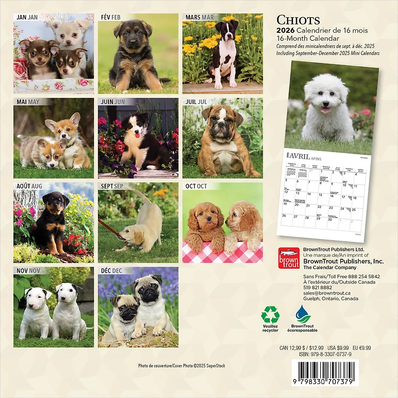 Chiots 2026 Mini Calendar (French)