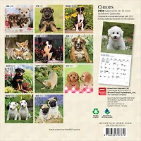 Chiots 2026 Mini Calendar (French)
