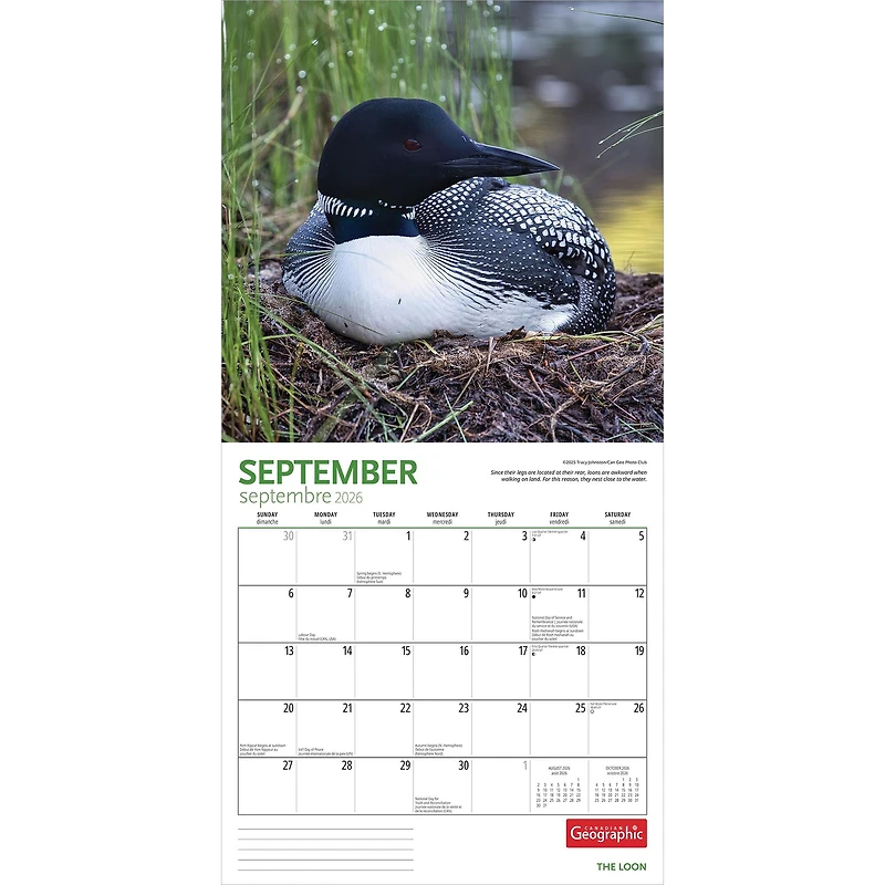 Canadian Geographic Loon 2026 Wall Calendar - Online Only