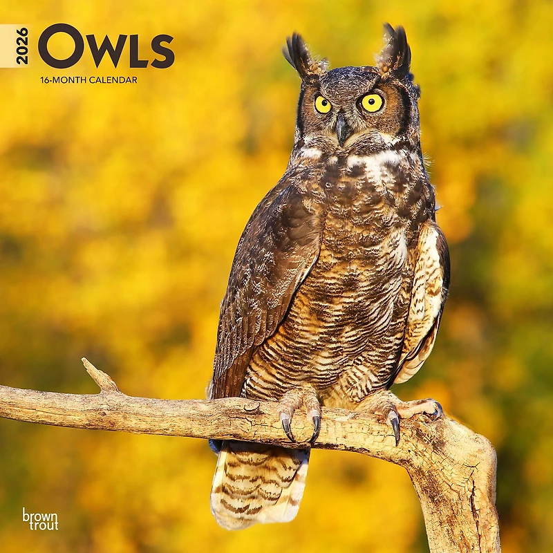 Owls 2026 Wall Calendar - Online Only