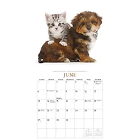 Puppies and Friends 2027 Wall Calendar