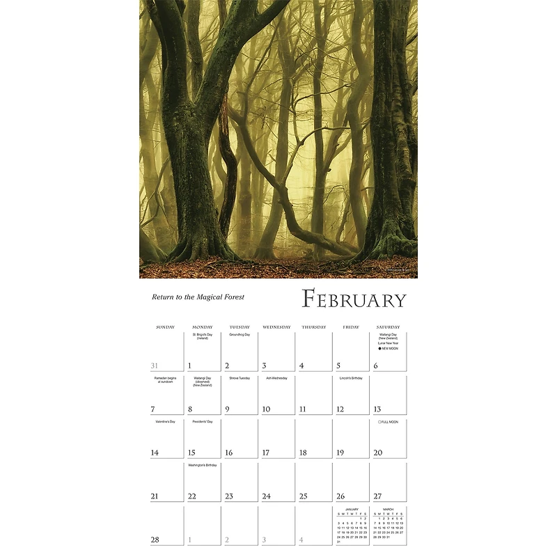 Enchanted Pathways 2027 Wall Calendar
