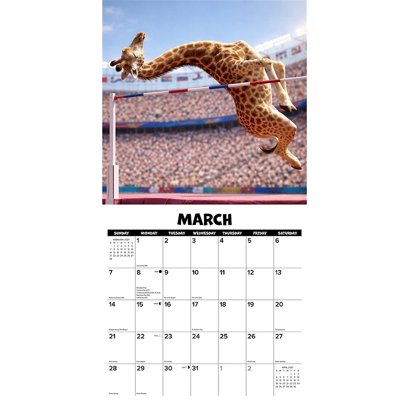 Animal Olympics 2027 Wall Calendar