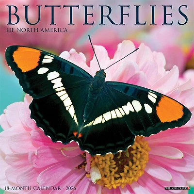 Butterflies Of North America 2026 Wall Calendar