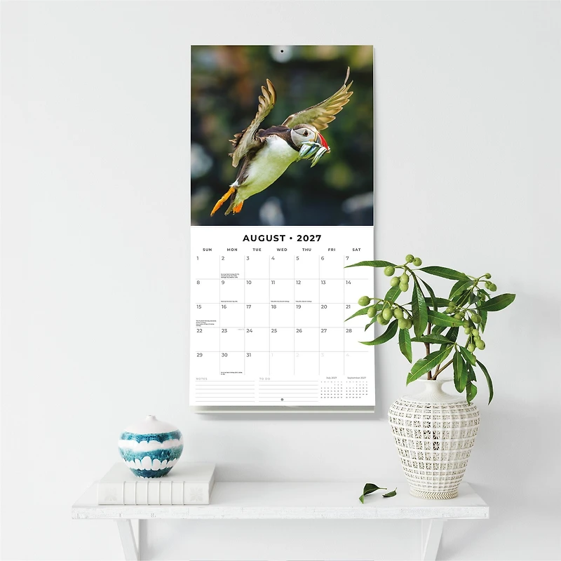 Puffins 2027 Wall Calendar