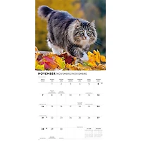 Love of Cats 2027 Wall Calendar