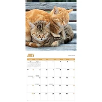 Kitty Naps 2027 Wall Calendar