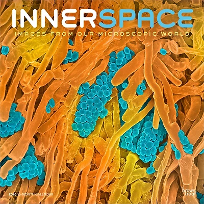 Innerspace 2026 Wall Calendar - Online Only
