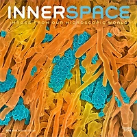 Innerspace 2026 Wall Calendar - Online Only