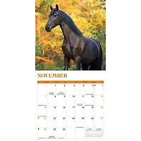 Horses 2027 Mini Calendar