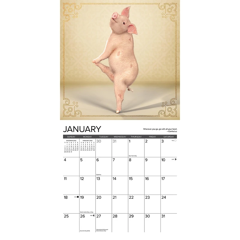 Pig Pilates 2026 Wall Calendar