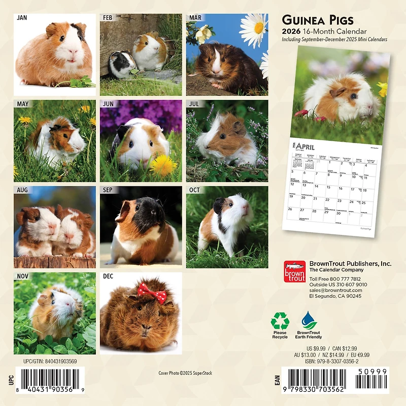 Guinea Pigs 2026 Mini Calendar