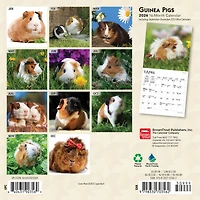 Guinea Pigs 2026 Mini Calendar