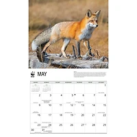 World Wildlife Fund Foxes 2027 Wall Calendar