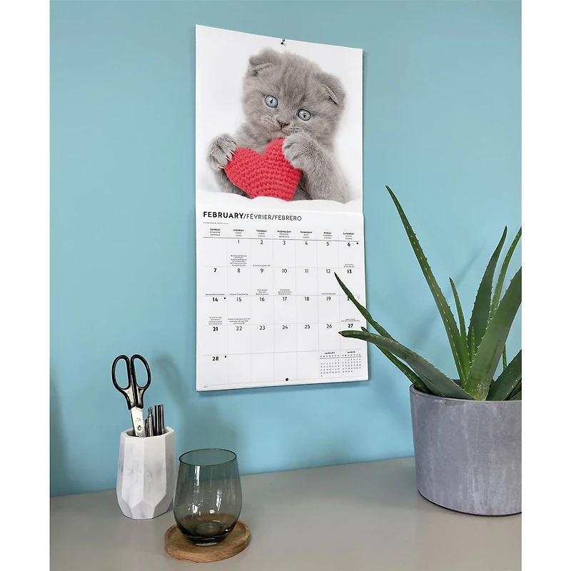 Cats 2027 Wall Calendar