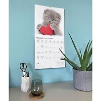 Cats 2027 Wall Calendar