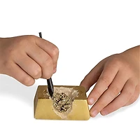 Mini Dig Fool's Gold National Geographic