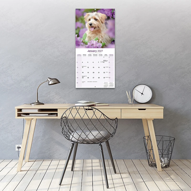 Norwich/Norfolk Terrier 2027 Wall Calendar - Online Only