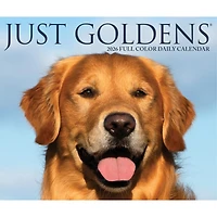 Just Goldens 2026 Box Calendar
