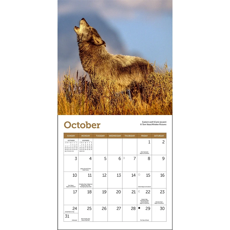 Wolves 2027 Mini Calendar