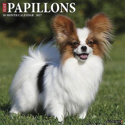Papillons 2027 Wall Calendar
