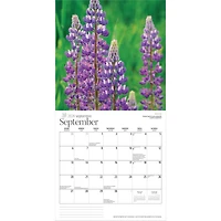 Wildflowers Of Canada 2026 Wall Calendar